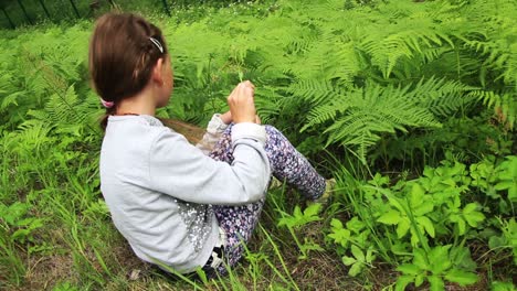 A-little-girl-sits-in-the-ferns