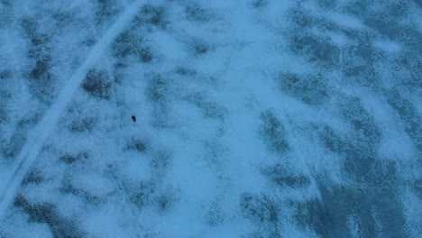 Person-walking-on-a-frozen-lake