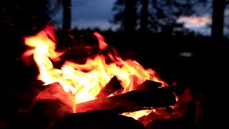 Campfire-in-the-dark-during-a-late-sunset-in-a-Swedish-forest-in-summer