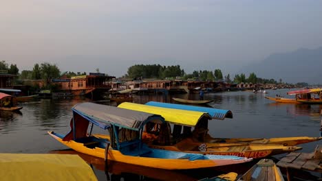 This-show-Shikara-boats-in-Dal-Lake,-Kashmir