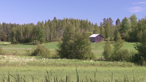 Wiese-Mit-Hütte-In-Finnland-An-Einem-Windigen-Tag