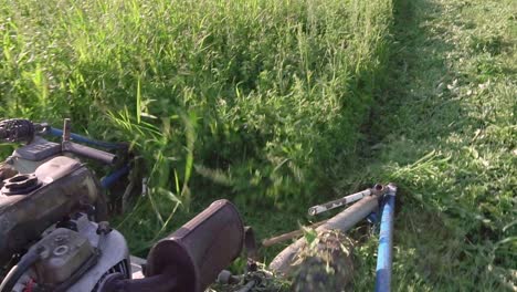 Grass-mower-working-on-the-field-in-Bulgaria-cutting-alfalfa,-slow-motion