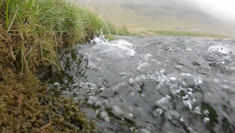 Small-creek--in-Iceland-on-a-foggy-day