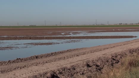 Pan-shot-of-flood-irrigation-in-California,-USA