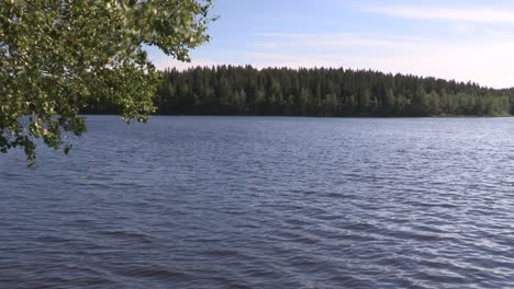 Lago-Romántico-En-Finlandia-En-El-Verano
