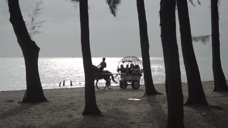 Silhouette-Der-Pferdekutsche,-Die-über-Den-Strand-Fährt,-Mit-Schönem-Sonnenlichtreflexionsmeerhintergrund
