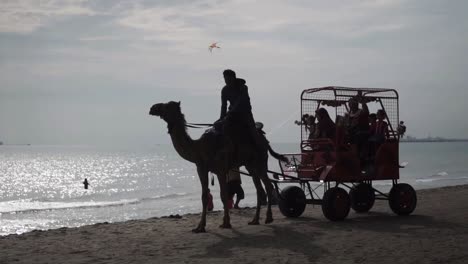 Silueta-De-Carruaje-De-Camellos-Pasando-Por-La-Playa
