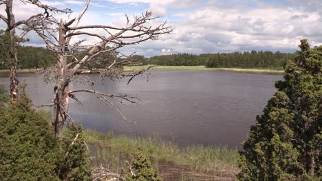Lago-En-Finlandia-Con-árbol-Muerto