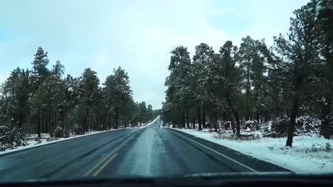 Snowy-road-with-trees-on-sides.-Slowmotion