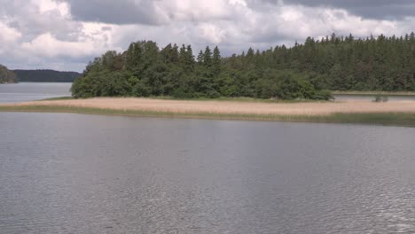 Lago-Con-Caña-Común-En-Finlandia