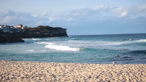Bronte-NSW-lazy-afternoon-beach