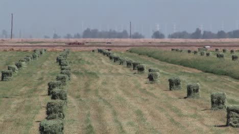 Hay-bales-on-field-in-California,-USA
