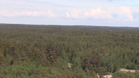 Bosque-De-Coníferas-En-Finlandia-Desde-Arriba