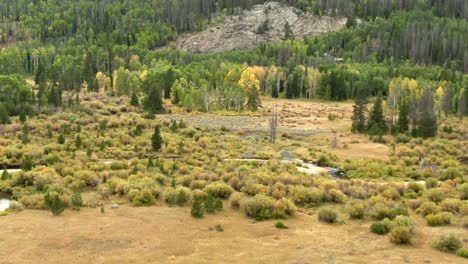 Luftbild-Von-Blättern,-Die-Sich-In-Den-Colorado-bergen-ändern