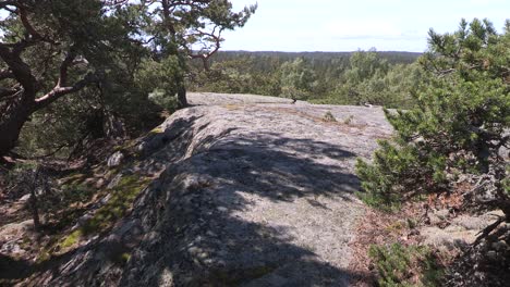 Bedrock,-granite-in-Finland-with-trees-1