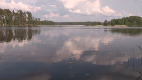 Pan-shot-of-lake-with-coniferous-forest-in-Finland
