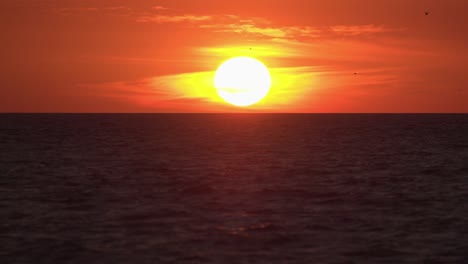 Zeitlupenaufnahme-Des-Orangefarbenen-Florida-Sonnenuntergangs-über-Dem-Golf-Von-Mexiko-Mit-Seevögeln,-Die-In-Der-Ferne-Fliegen