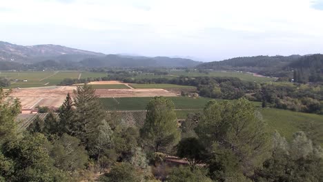 Panorama-Del-Valle-De-Napa-Con-Viñedos,-California,-Estados-Unidos