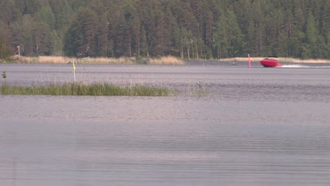 Close-up-of-lake-in-Finland-with-common-reed