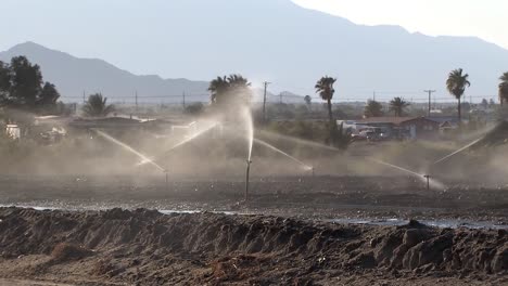 Irrigation-Sprinkler-in-Southern-California,-USA-1
