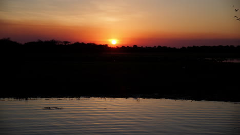 Warm-sunset-silhouette