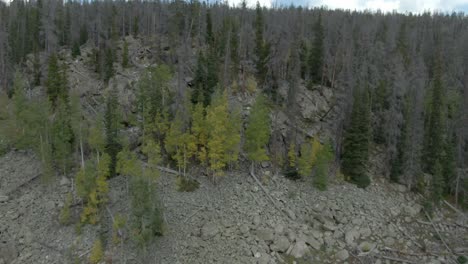 Aerial-dolly-of-mountain-side-with-fall-colors-in-Colorado