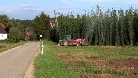Farmer-using-pesticides-in-a-hop-garden-against-mildew,-Bavaria,-Germany-1