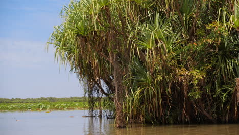 Tranquil-Kakadu-wetlands