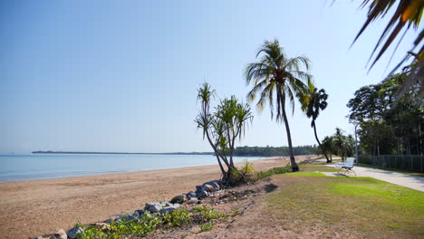 Darwin-Beach-palm-trees