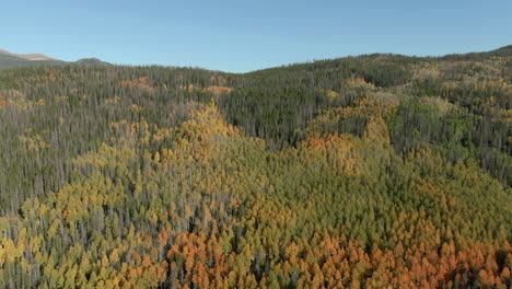 Aerial-dolly-over-colorful-mountain-forest-in-fall