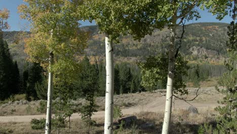 Aerial-Dolly-Von-Bäumen-Mit-Berg-Im-Hintergrund-Und-Herbstfarben
