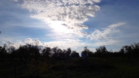 Sky-and-field-of-trees-Time-Lapse,-Omurtag,-Bulgaria---september-2th,-2018