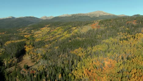 Aerial-pan-over-colorful-mountain-forest-in-fall