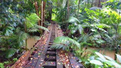 Regenwaldbrücke-über-Den-Fluss