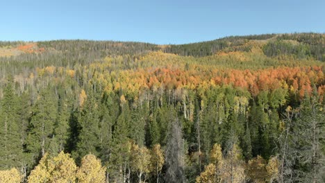 Aerial-dolly-across-colorful-forest-in-fall