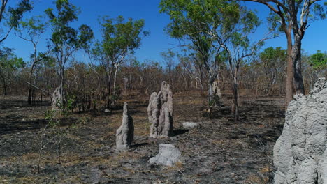 Aerial-shots-of-termite-mounds