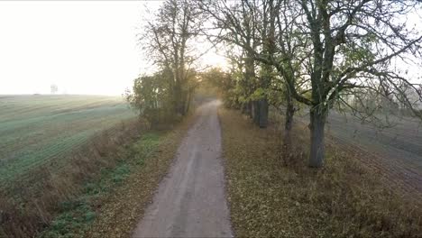 The-gravel-road-and-the-sun's-rays-behind-the-trees-in-the-autumn-morning-1