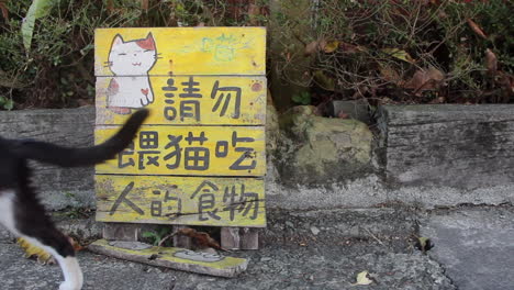 A-cat-walks-past-a-cute-illustrated-signboard,-Houtong-Cat-Village