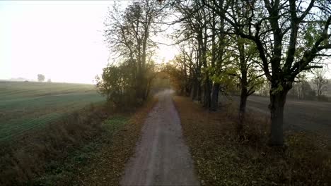 Gravel-road-between-trees-in-a-sunny-autumn-morning