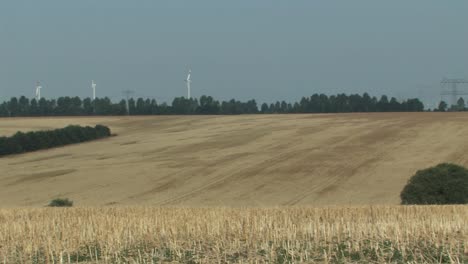 Pan-shot-over-Magdeburger-Börde-after-wheat-harvest,-Germany