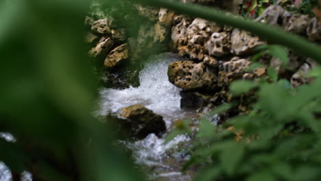 Sprudelndes-Wasser,-Das-Von-Felsen-Mit-Baumblättern-Im-Vordergrund-Fließt