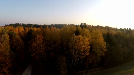über-Den-Bunten-Herbstwald.-Szenische-Luftaufnahmen