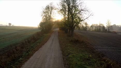 Gravel-road-between-trees-without-leaves-in-a-sunny-autumn-morning