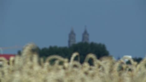 Rack-focus-from-wheat-field-to-cathedral-of-Magdeburg,-Germany