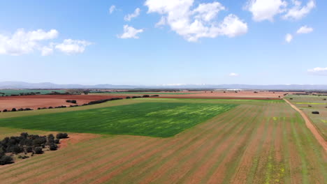 Drone-footage-of-green-and-brown-farm-fields