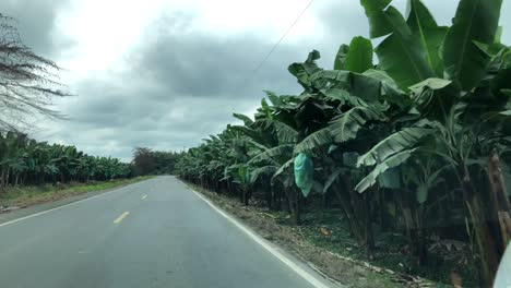 Driving-by-a-banana-plantation-in-the-Ecuador-rural-area-filming-with-stabilizer-from-a-moving-car-1