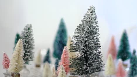 Slow-Motion-snow-glitter-drops-on-green,-pink-and-white-bottlebrush-trees-with-a-white-background