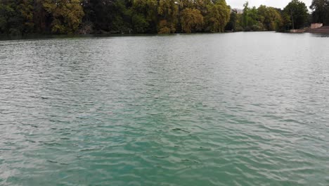 Lyon-lake---water-skimming
