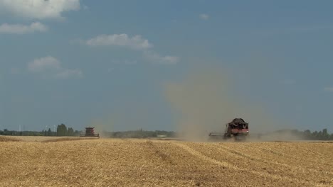 Wheat-Harvest-near-Magdeburg,-Germany