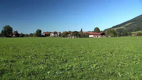 Pastizales-Y-Prados-Con-Vacas-En-Baviera,-Alemania-1